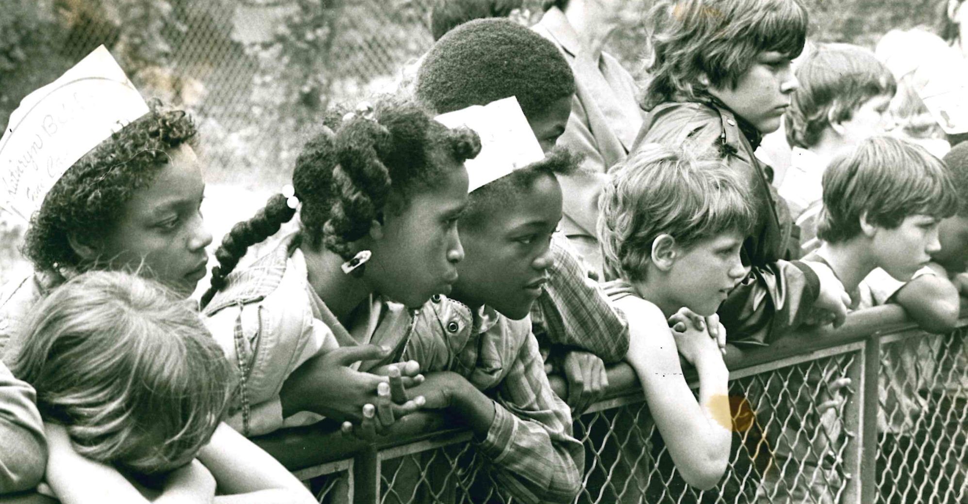 Students and big cats